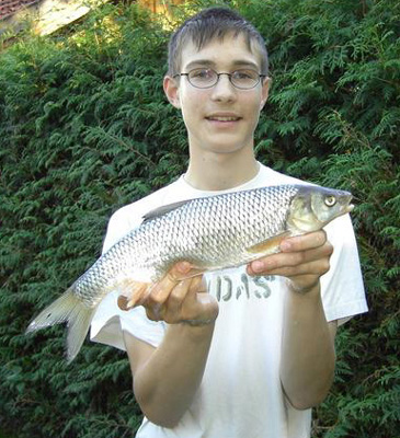 1407_Dace_Leuciscus leuciscus.jpg 1407_Dace_Leuciscus leuciscus.jpg